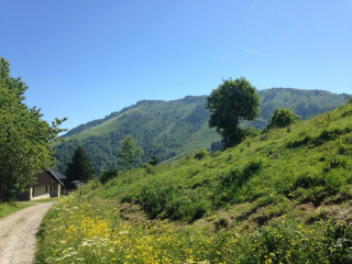 Randonnée 